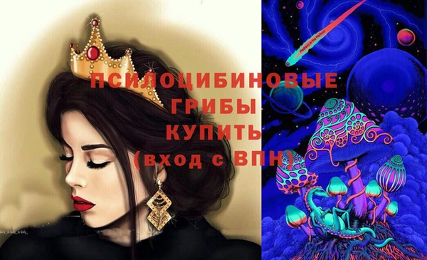 ПСИЛОЦИБИНОВЫЕ ГРИБЫ Покровск